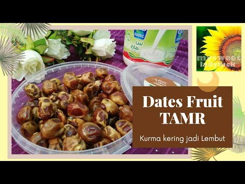 Cara Mengkonsumsi Kurma Kering Jadi Lembut l Dates Fruit l Tamr