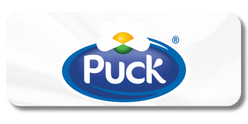 puck